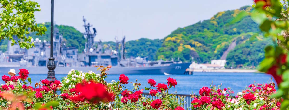 Article illustration for Local Area Guide: Yokosuka, Kanagawa