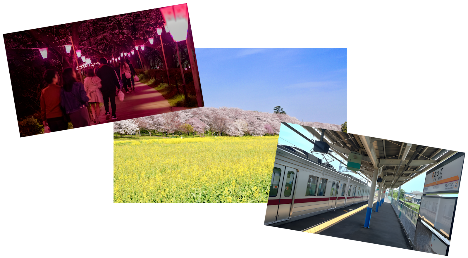 Article - 4LDK Family Home in Satte: ¥9.8M!
