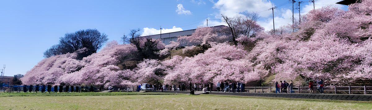 Article - Minamiashigara Garden 5DK Retreat
