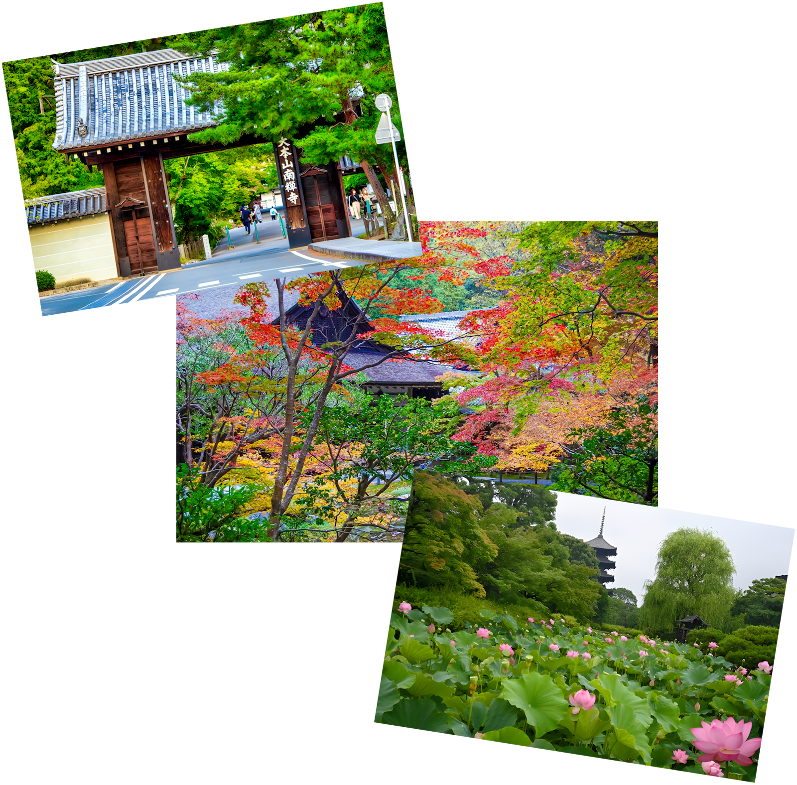 Article - Weekly Featured Property: Modern Comfort Near Kyoto Station