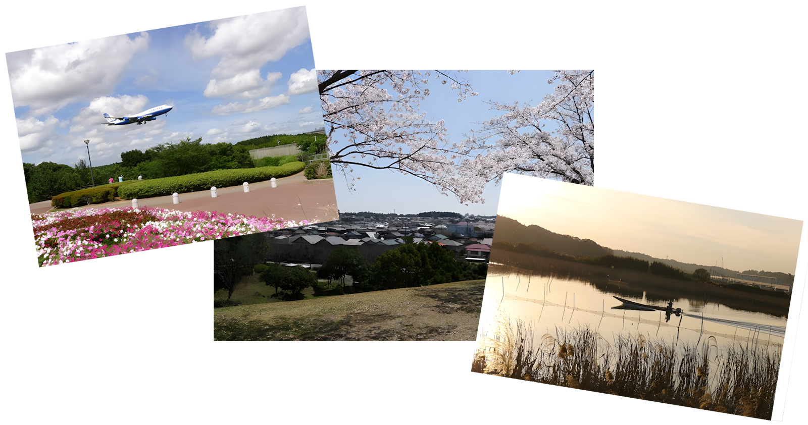 Article - Narita 6LDK: Big Rental, Big Potential
