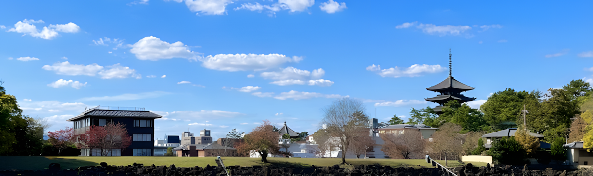 Article - [BONUS!] Weekly Featured Property: Nara Historical Treasure (Sold)