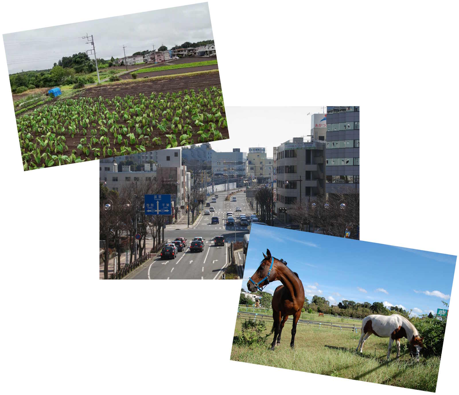 Article illustration for Nine Minutes From Narita: A Chiba Home With Two Ways to Buy