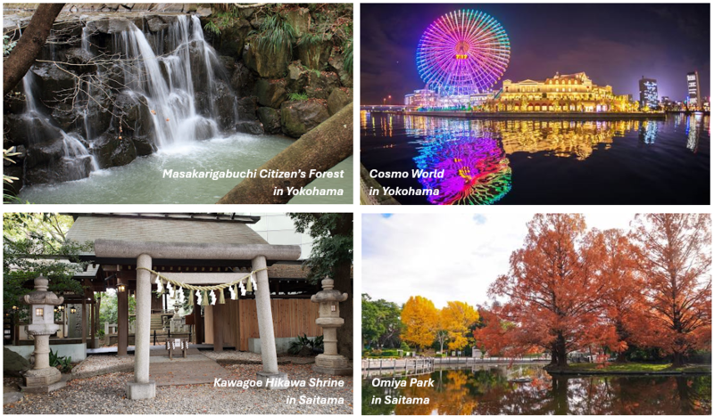 Article - Akiya Homes: Unique Opportunities in Japanese Real Estate