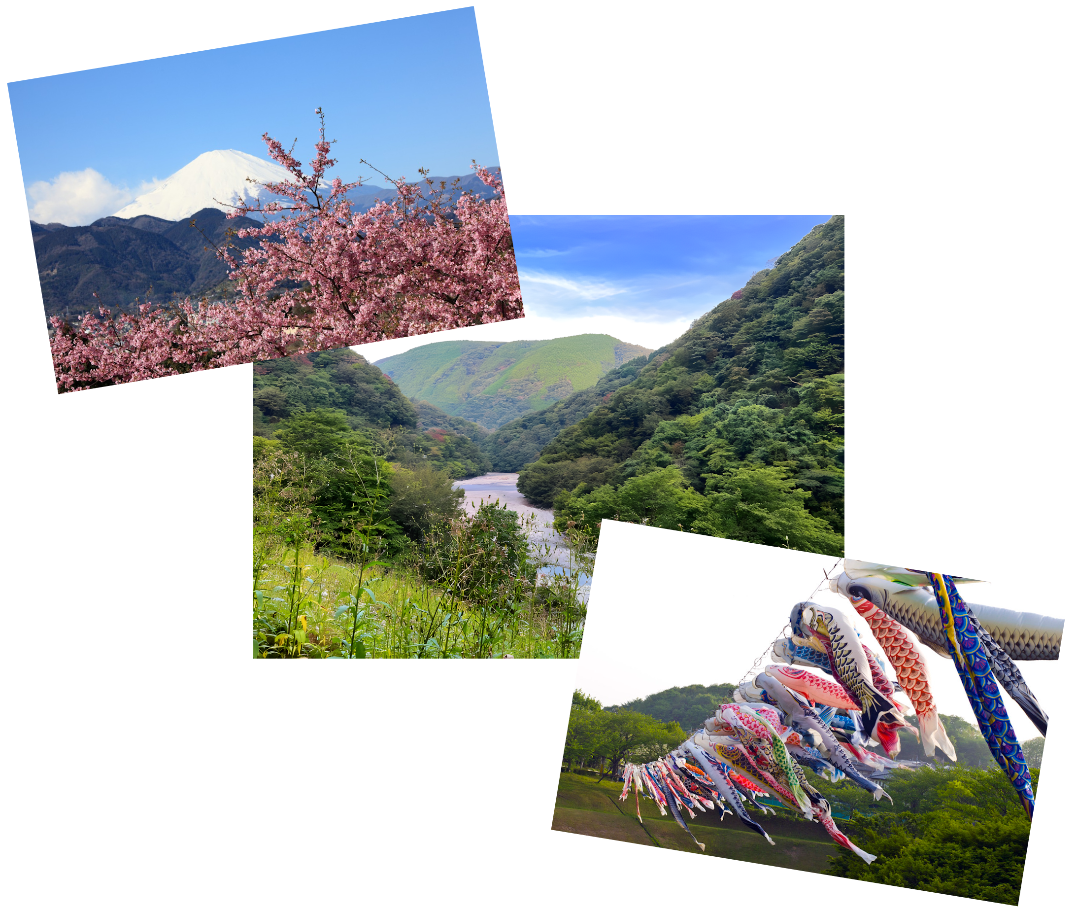 Article - Kanagawa 7DK: Mountain Charm, $100K!