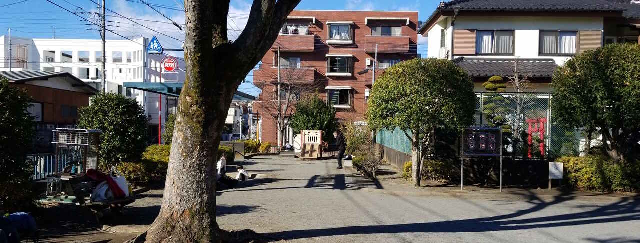 Article illustration for Local Area Guide: Hachioji, Tokyo