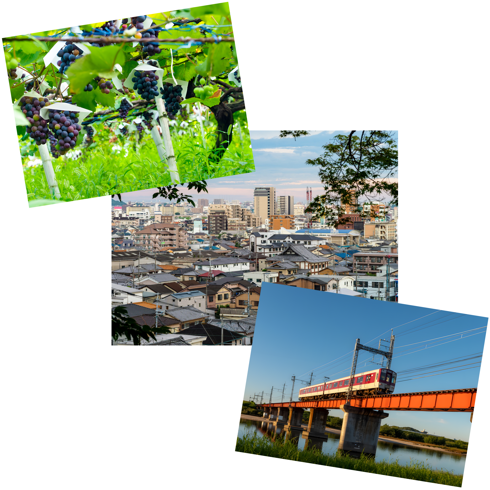 Article - [BONUS!] Weekly Featured Property: Compact Charm in Central Kashiwara