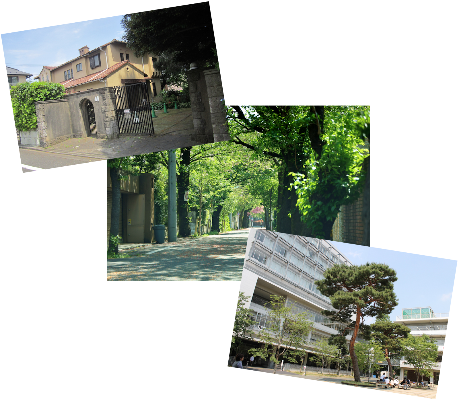 Article - What Can $1.5 Million Buy You in Tokyo?