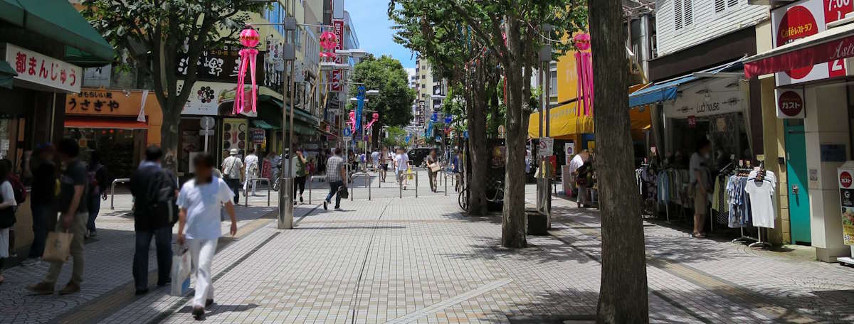 Article illustration for Local Area Guide: Hachioji, Tokyo
