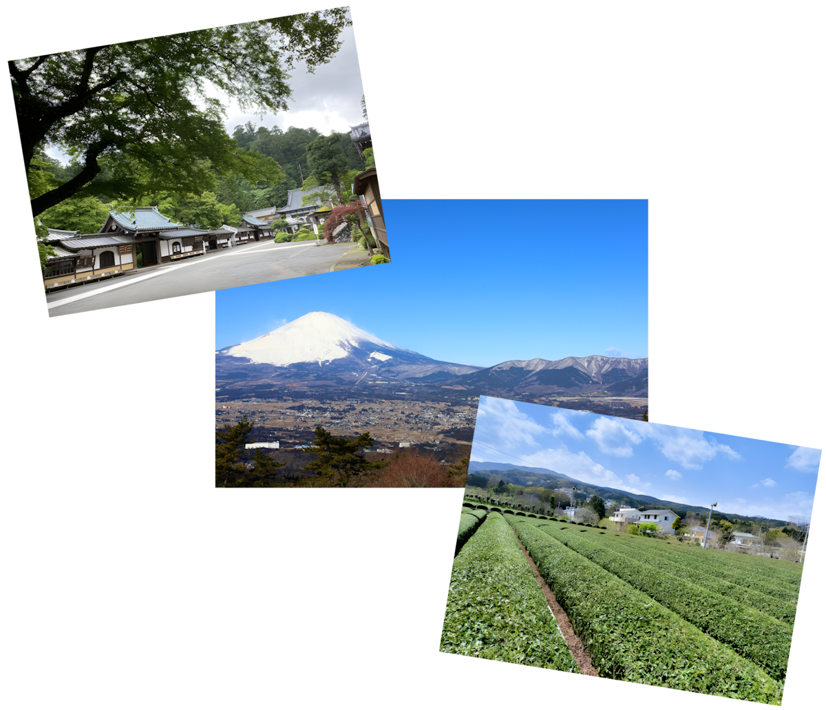 Article - Minamiashigara Garden 5DK Retreat
