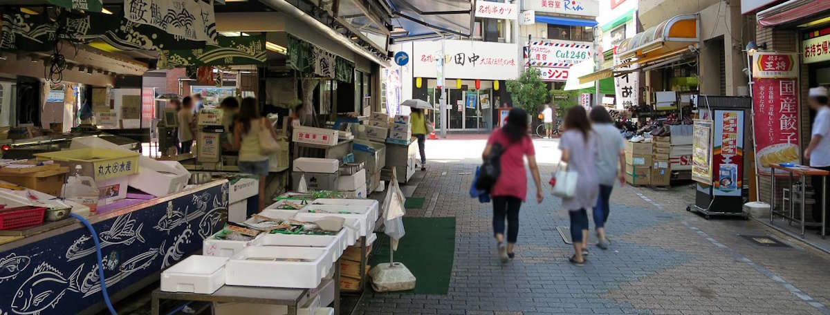 Article illustration for Local Area Guide: Odawara, Kanagawa