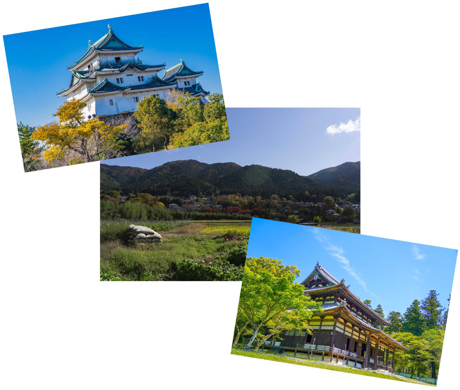 Article illustration for What ¥9.2 Million Buys 30 Minutes From Kansai Airport