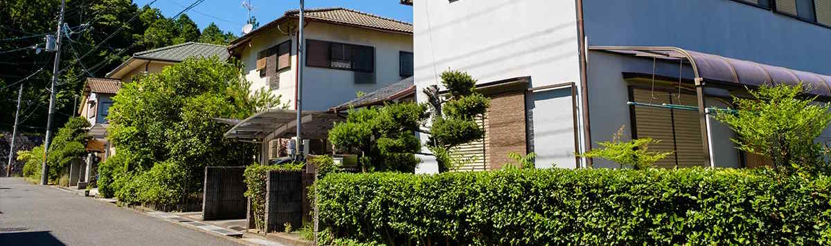 Article - The Akiya Trend: Why are so Many Homes Vacant?