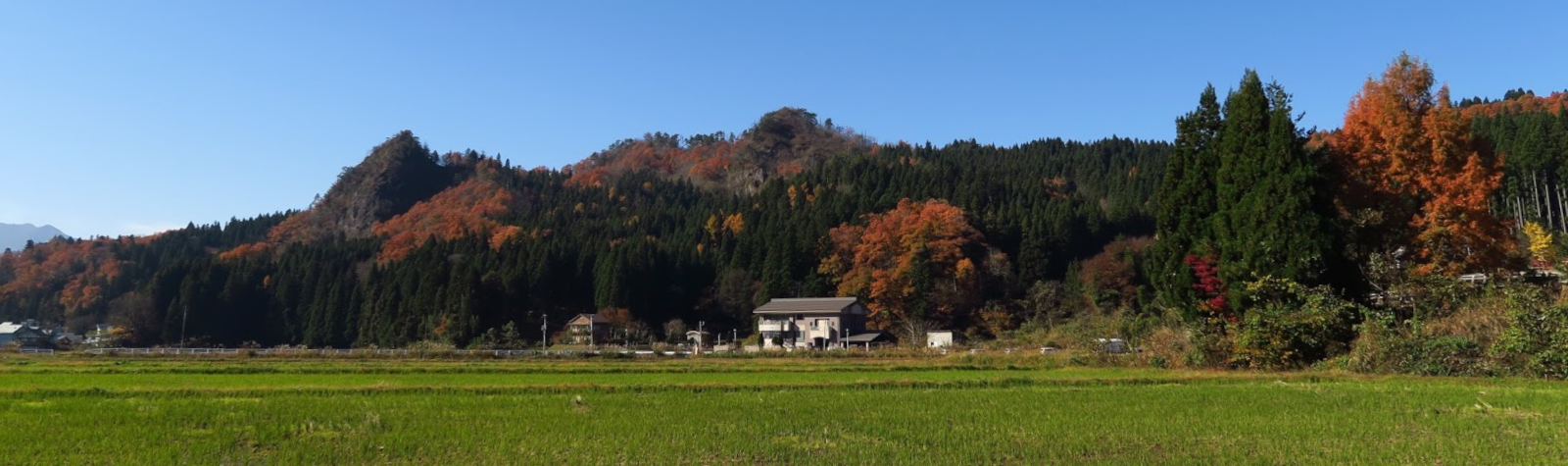 Article - Niigata 8DK: Space to Dream, $109K!
