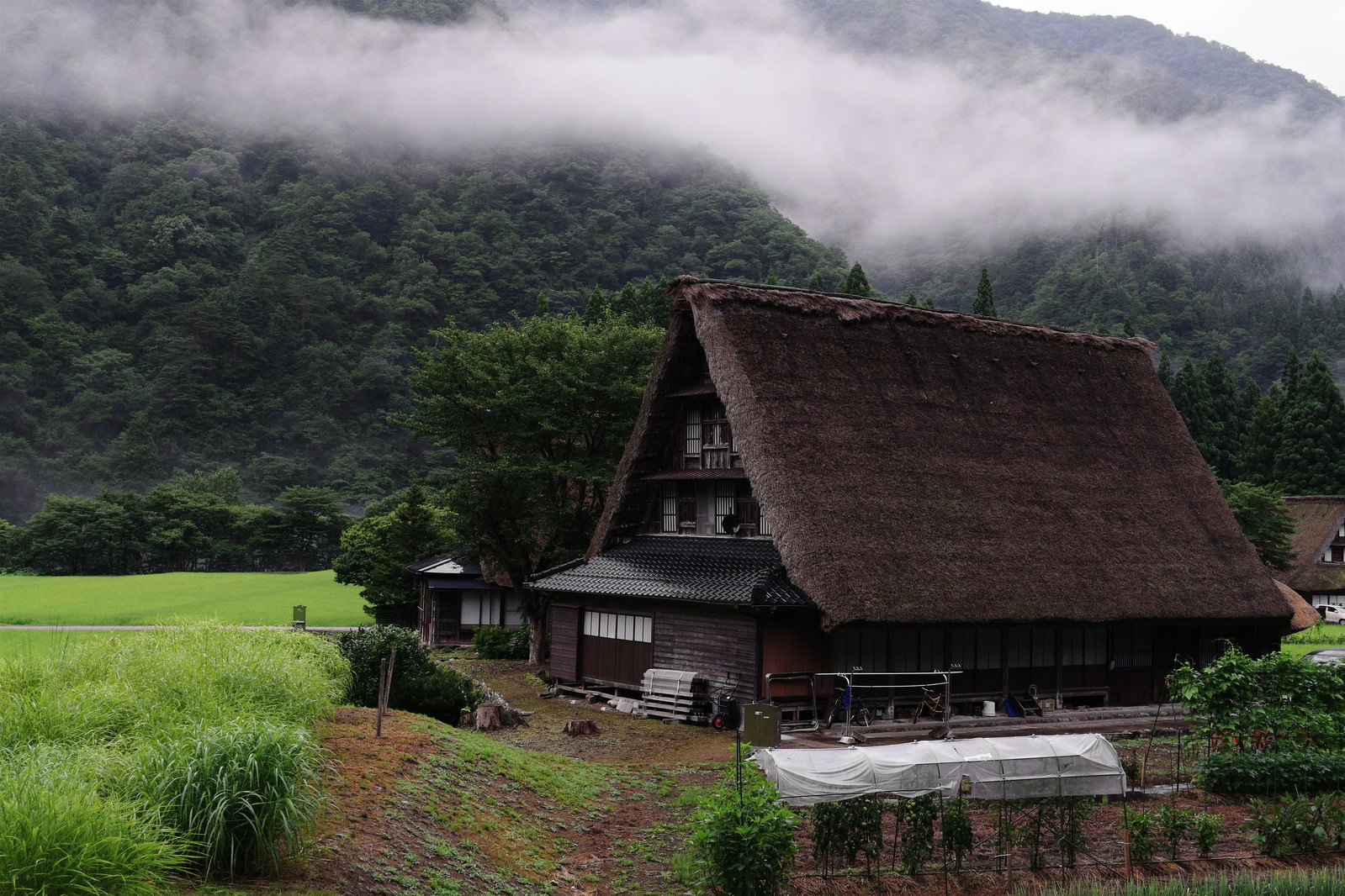 Article - What is an Akiya? (And Why You Might Want One)