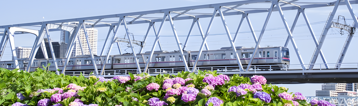 Article - Weekly Featured Property: Compact Edogawa Home with Urban Calm