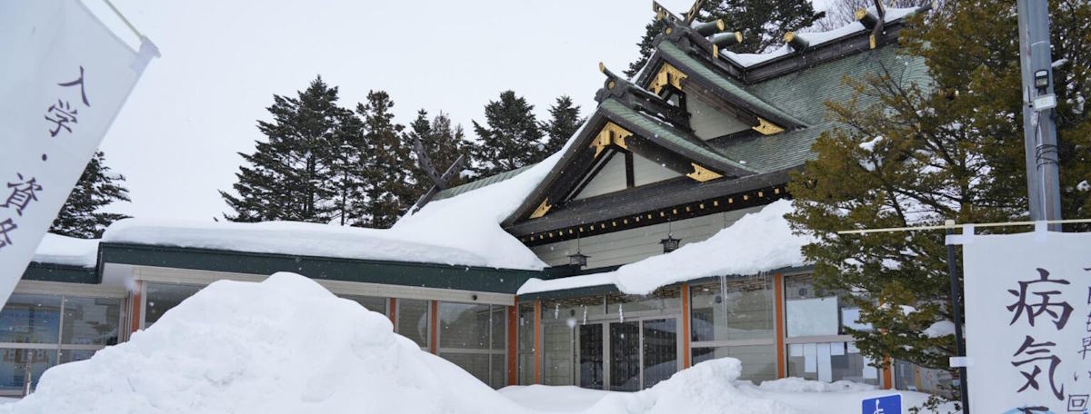 Article illustration for Local Area Guide: Sapporo, Hokkaido