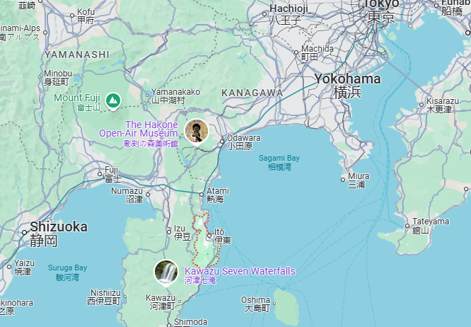 Article - A Rare Find in Coastal Shizuoka