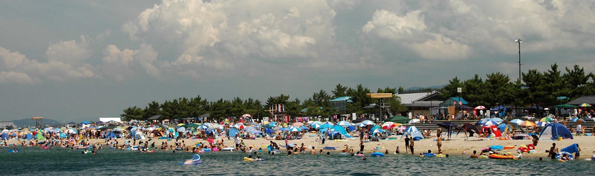 Article - Weekly Featured Property: Coastal Catch in Kansai