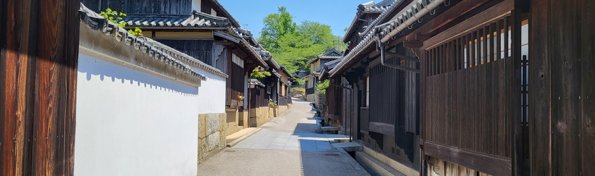 Article - Akiya Homes: Unique Opportunities in Japanese Real Estate
