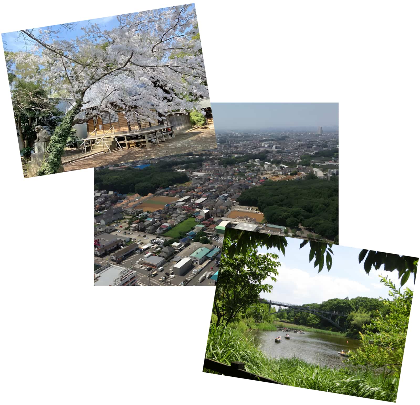 Article - Weekly Featured Property: Comfortable Family Home in Funabashi (Sold)