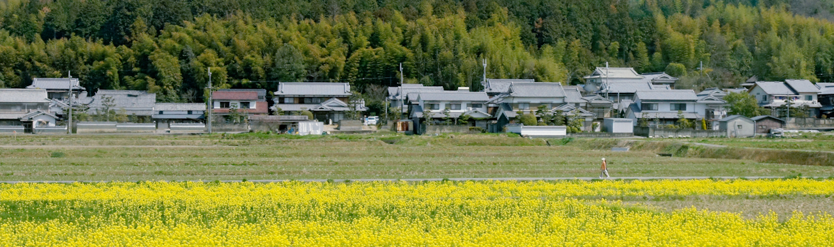 Article - Japan Akiya Listings: Properties You Would Actually Want to Buy