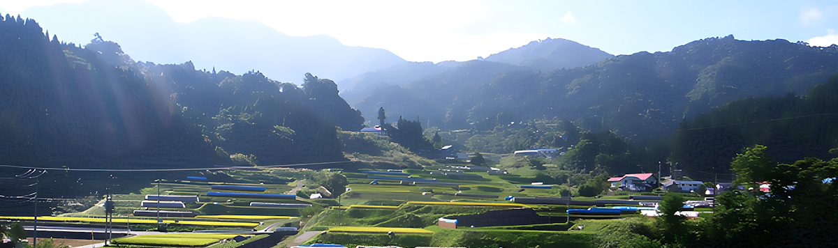 Article - Akiya Homes: Unique Opportunities in Japanese Real Estate