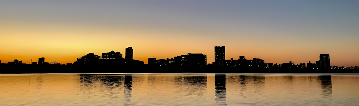 Article - Spacious Tokyo Home with Skytree Views