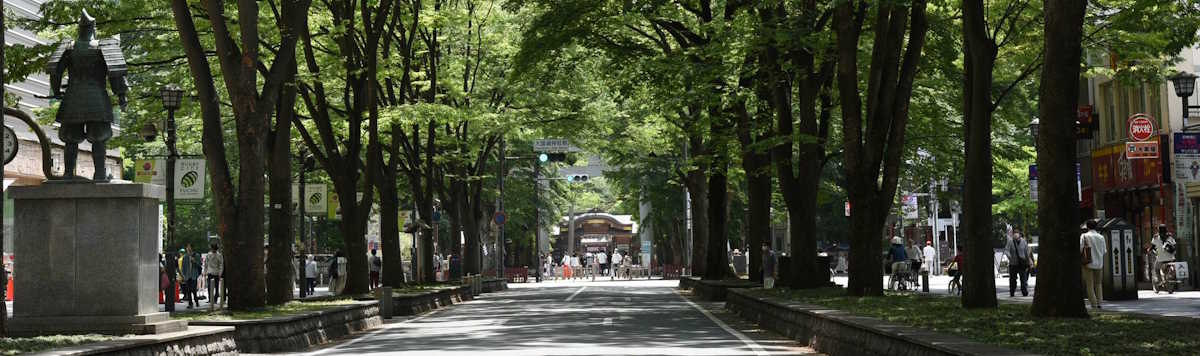 Article illustration for Where to Buy in Japan: Kansai | Kobe City
