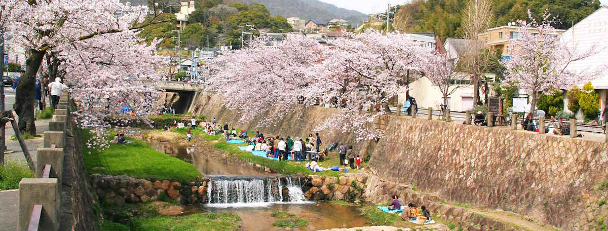 Article illustration for Local Area Guide: Ashiya, Hyogo