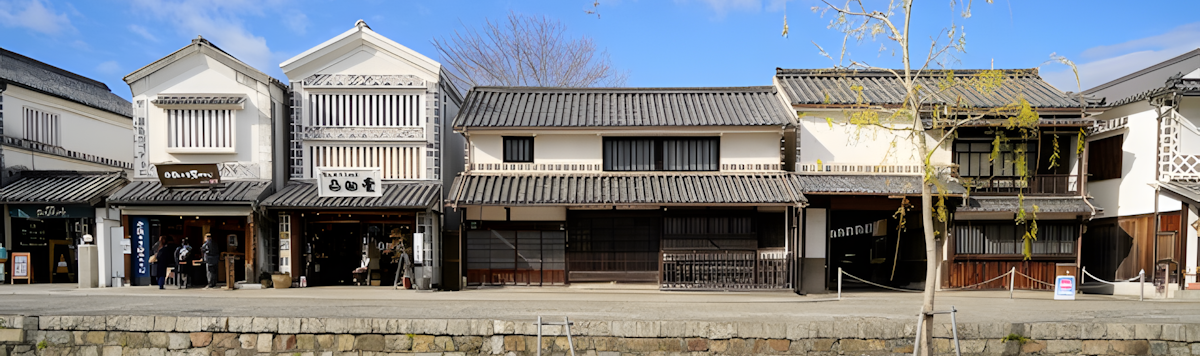 Article - Akiya Homes: Unique Opportunities in Japanese Real Estate