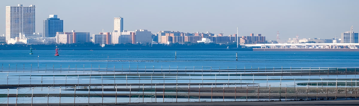 Article - Weekly Featured Property: Renovated 4LDK in Funabashi, Chiba