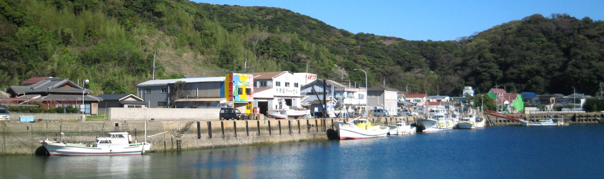 Article - Akiya Homes: Unique Opportunities in Japanese Real Estate