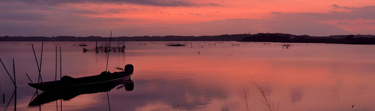 Article - Weekly Featured Property: Airy Modern 3LDK Home in Sakura, Chiba