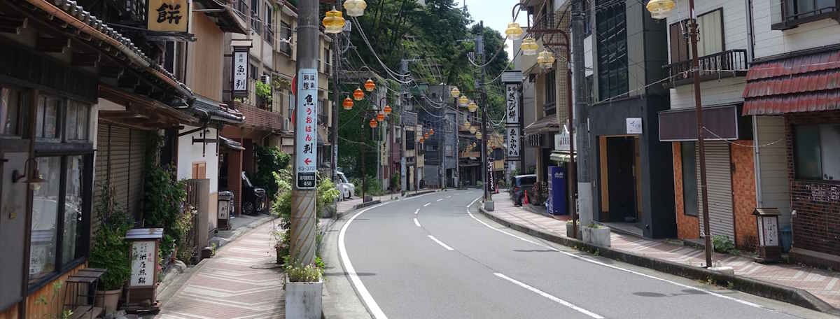 Article illustration for Local Area Guide: Odawara, Kanagawa