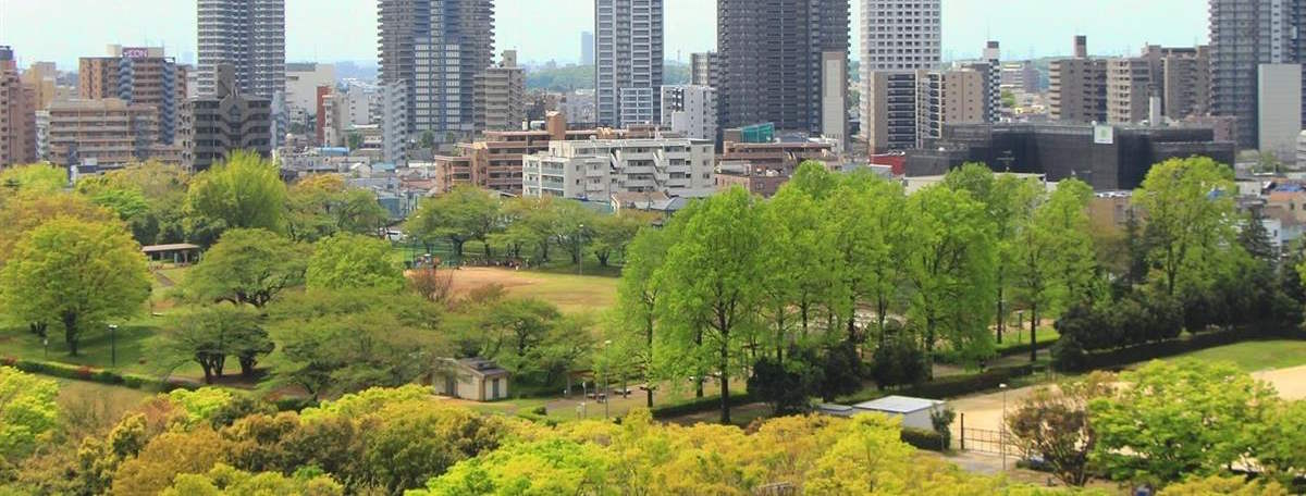 Article illustration for Local Area Guide: Tokorozawa, Saitama