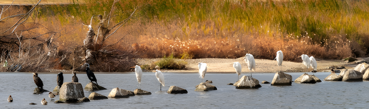Article - [BONUS!] Weekly Featured Property: Compact Charm in Central Kashiwara