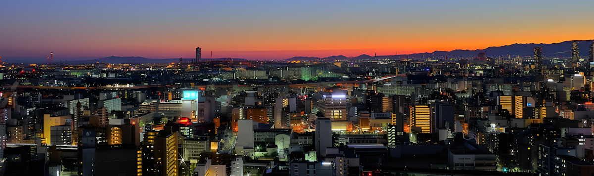 Article - Where to Buy in Japan: Kansai | Osaka's Kita & Miyakojima Wards