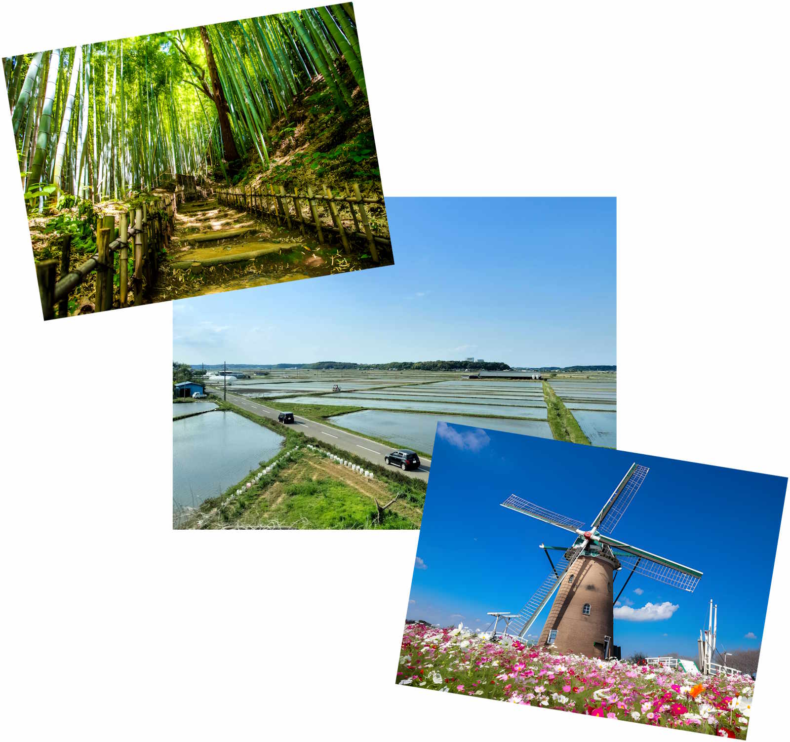 Article - Weekly Featured Property: Airy Modern 3LDK Home in Sakura, Chiba