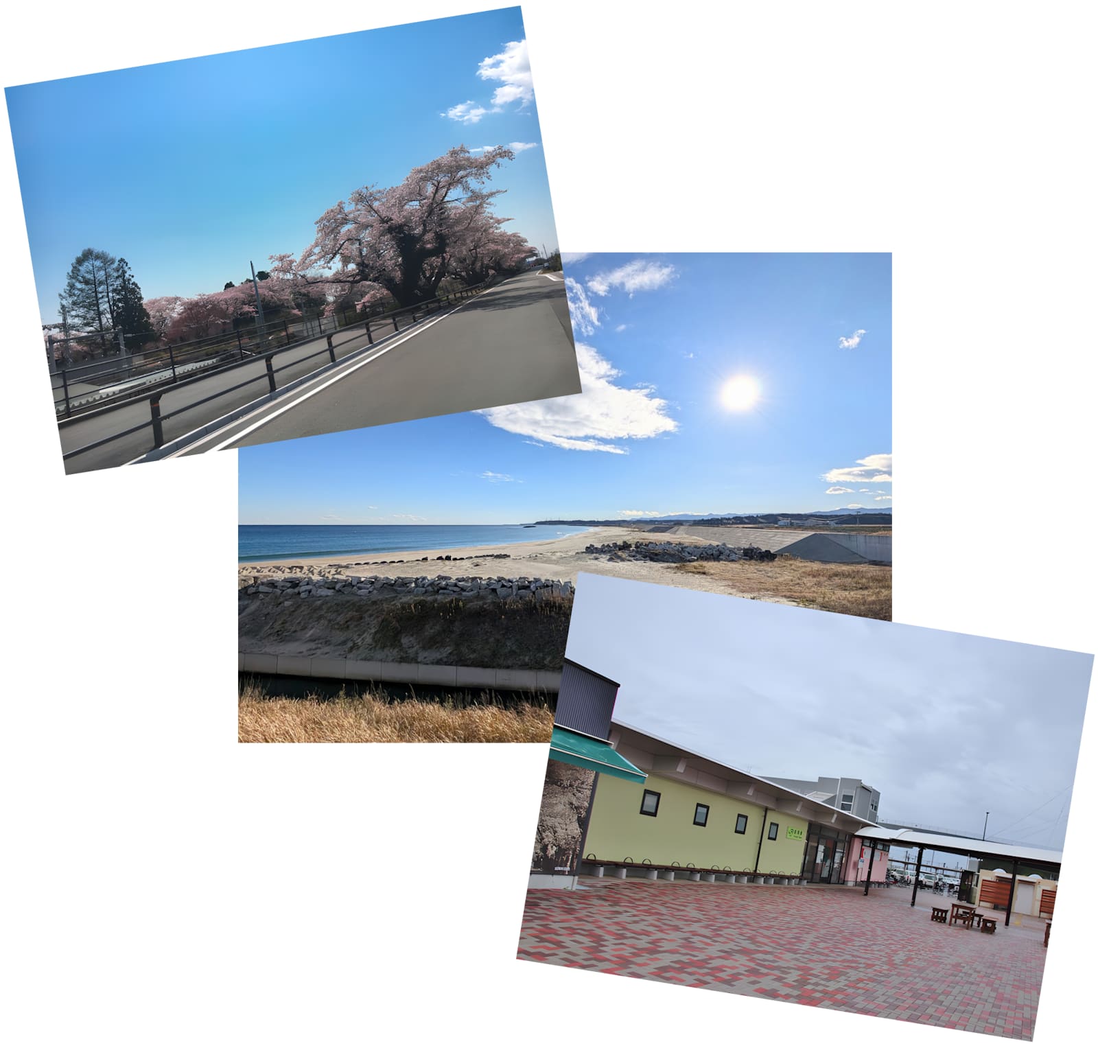 Article - [BONUS!] Weekly Featured Property: Coastal Sukiyazukuri Estate