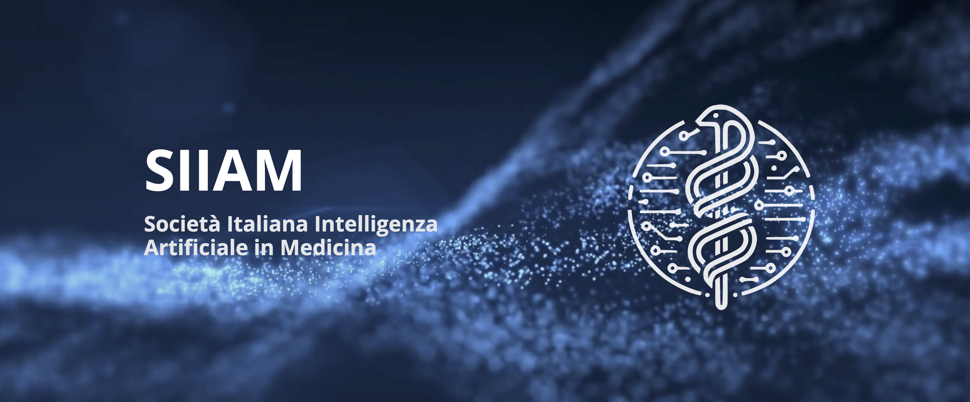 Un nuovo capitolo per SIIAM: eletto il Consiglio Direttivo per il prossimo biennio