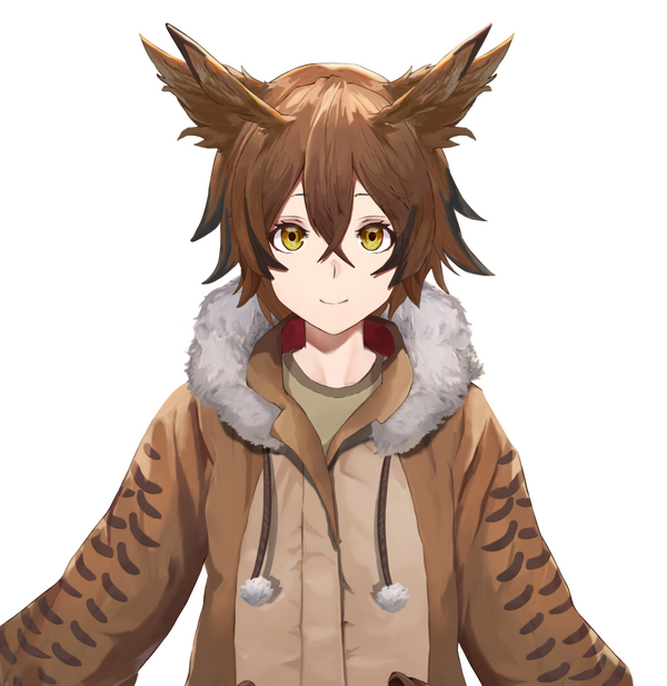 Riku D201