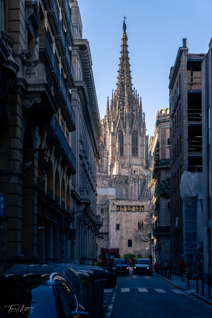 This image captures the stunning Cathedral of Barcelona (Catedral de Barcelona), also known as La Catedral de la Santa Creu i Santa Eulàlia