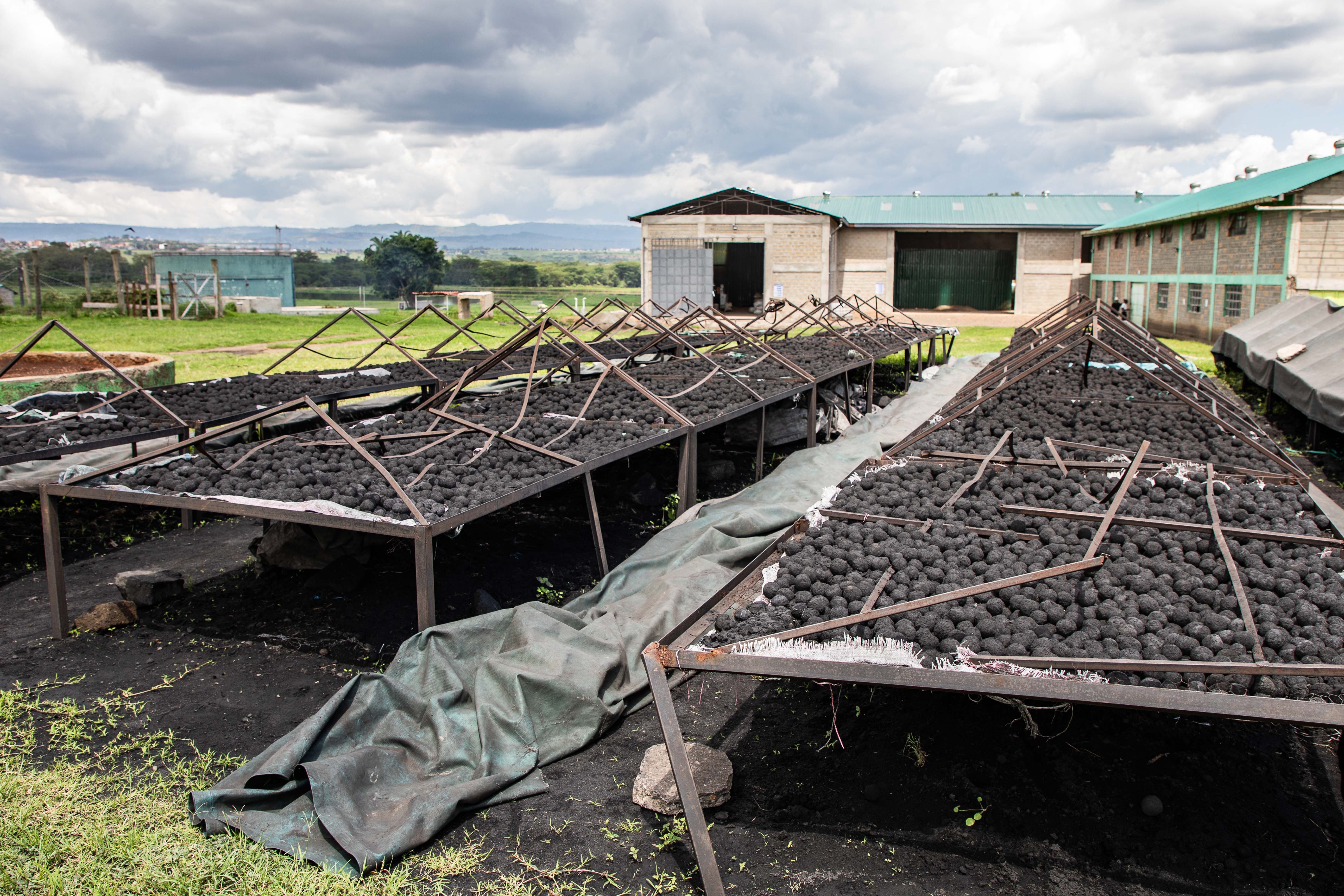 Turning Faecal Waste into Clean Energy Solutions in Nakuru 