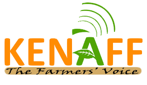 kenaff