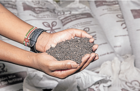 Venture uses insects to lower the cost of animal feed and fertiliser