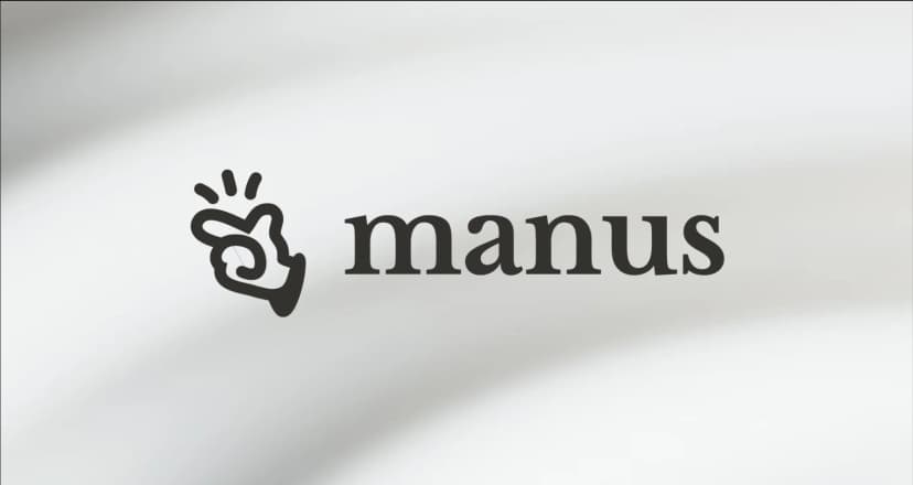 Manus Pro 1 Year