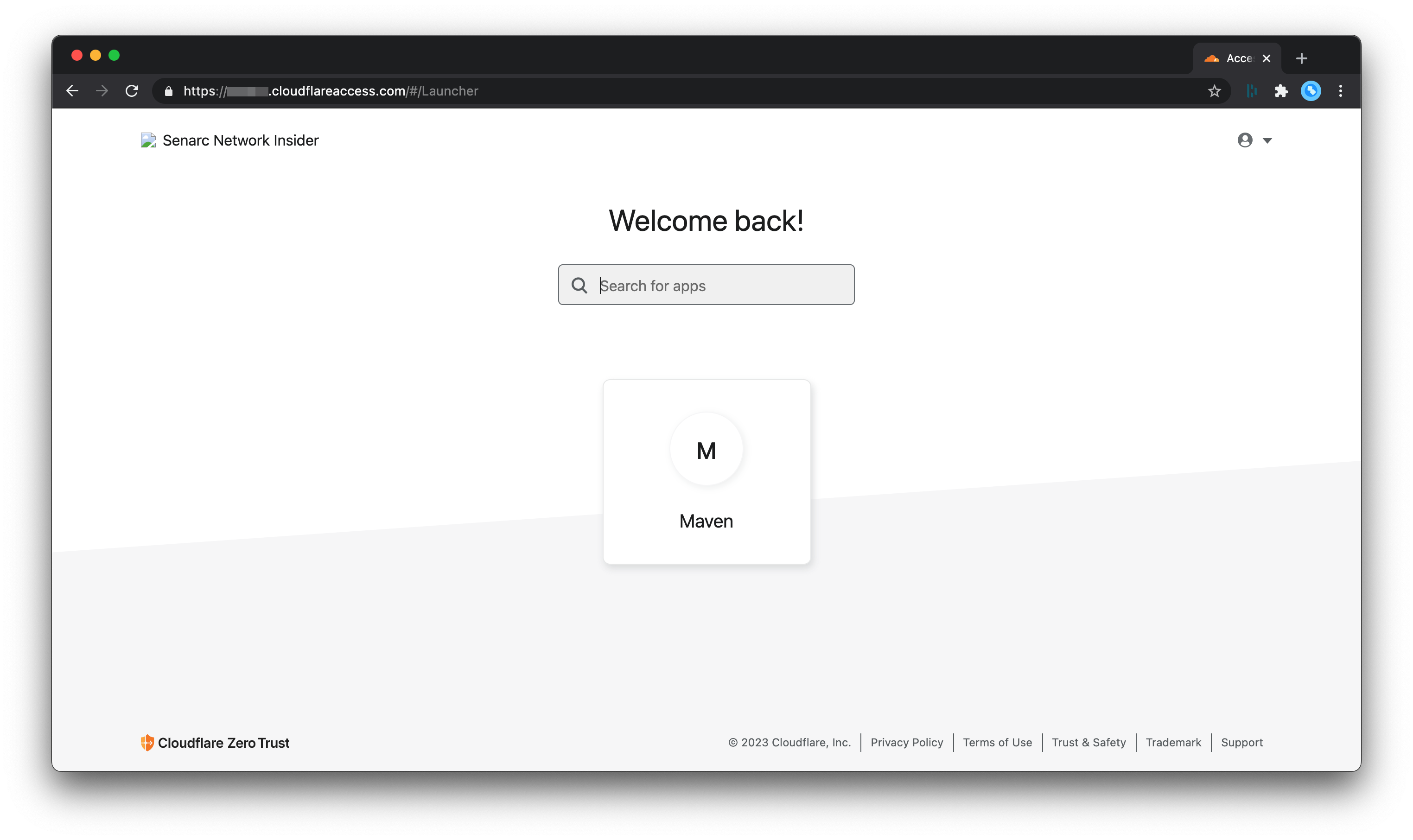 I created a private network with my home server in cloudflare teams