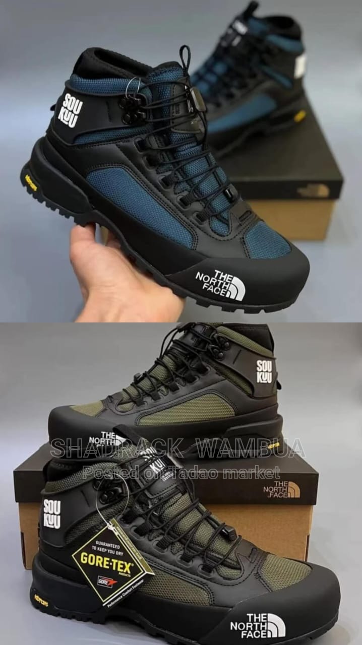 The NorthFace Boots 2