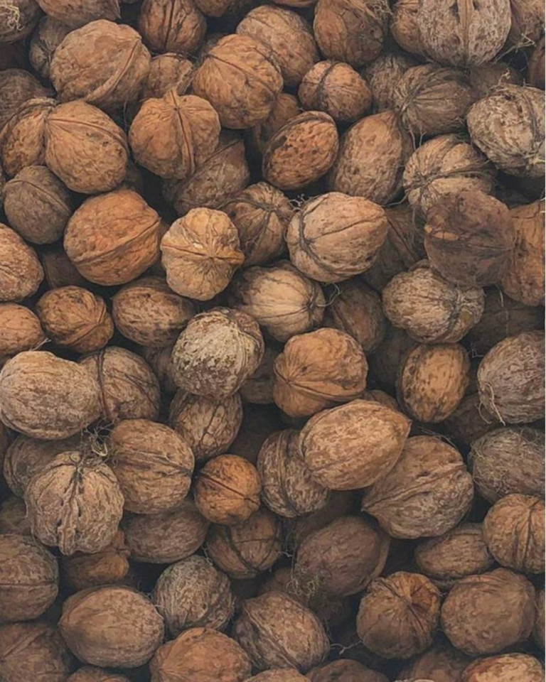 Nucă 